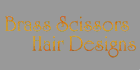 logo Brass Scissors Hair Designs