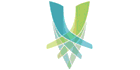logo Lynn Valley Orthopaedic & Sports Physiotherapy Centre